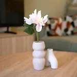 Apartament Mona Salonic